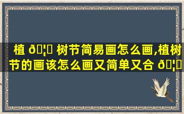 植 🦉 树节简易画怎么画,植树节的画该怎么画又简单又合 🦁 适